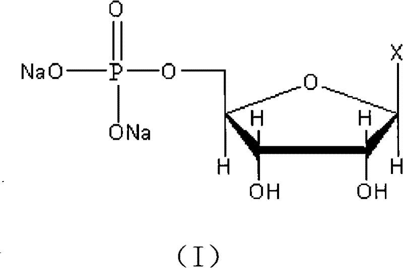 Chemical structure of Disodium 5'-ribonucleotide (I) showing the phosphate group at the 5' position