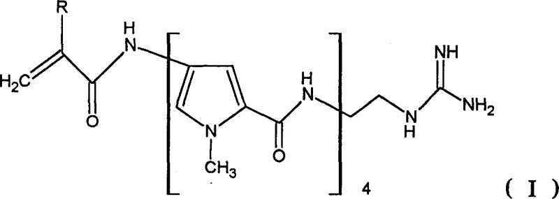 General chemical structure of Formula I representing the target acryloyl-distamycin-guanidine derivatives
