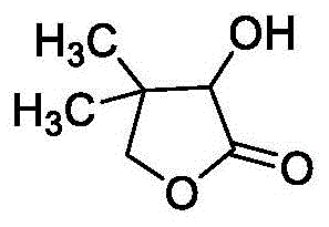 Chemical structure of D,L-pantolactone showing the lactone ring and hydroxyl groups essential for Vitamin B5 activity
