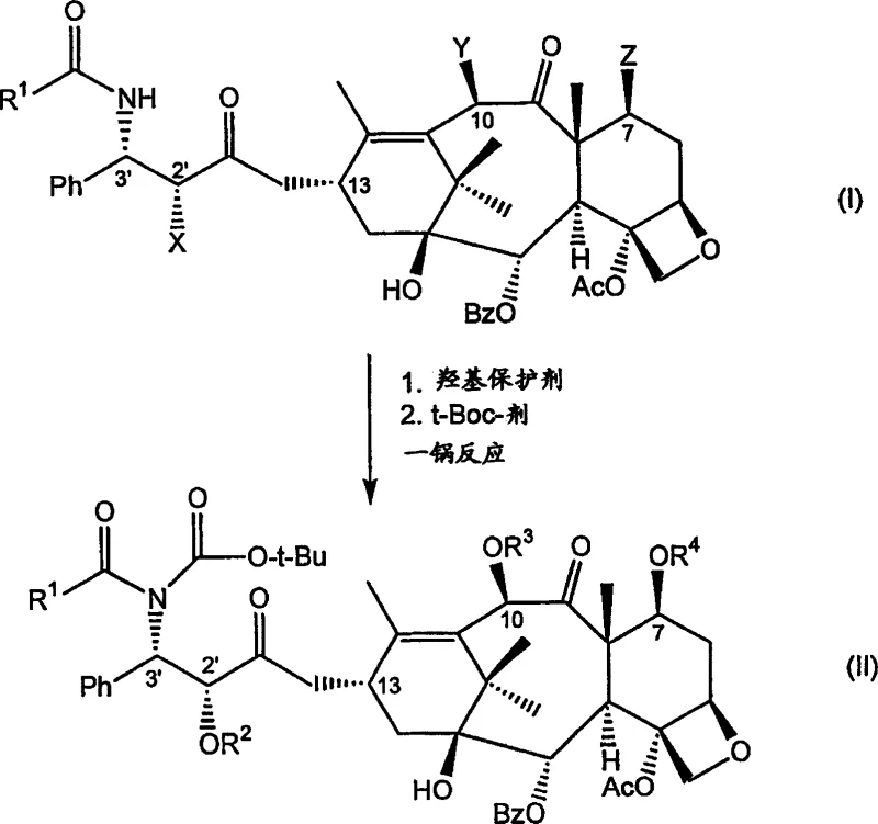 Reaction Scheme 1 detailing the one-pot protection and t-Boc introduction
