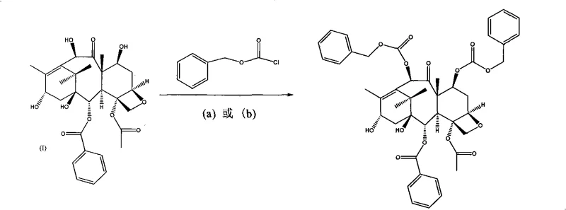 First esterification step mechanism using DMAP and benzyl chloroformate