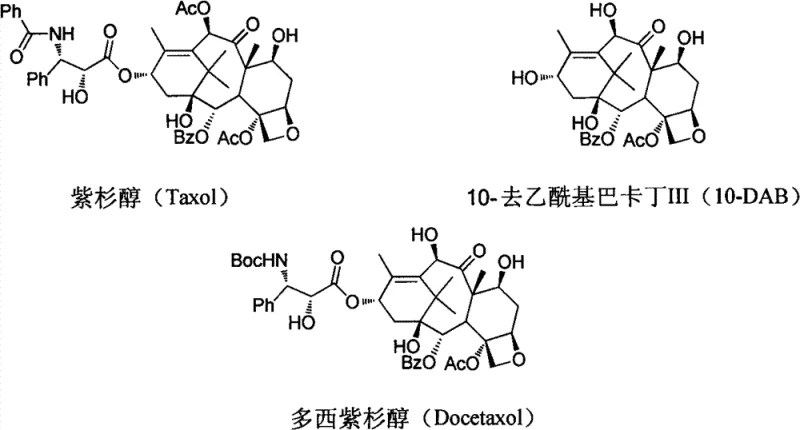 Chemical structures of Taxol, 10-DAB, and Docetaxel showing structural relationships