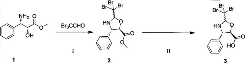 Synthesis of the oxazoline side chain intermediate from phenylisoserine and tribromoacetaldehyde