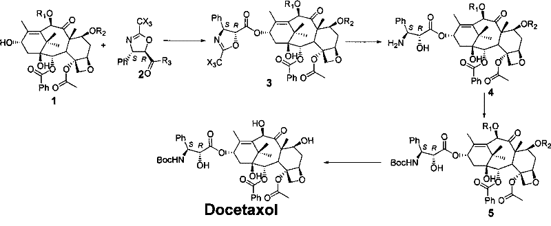 Overall synthetic route showing condensation, ring opening, and deprotection steps