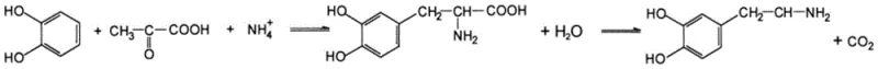 Enzymatic synthesis route using catechol and L-DOPA decarboxylase