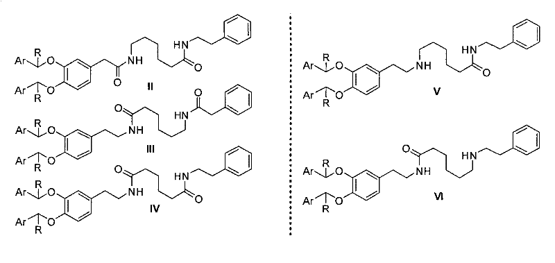 Structural diversity of precursor bis-amides and mono-amides (Compounds II-VI) used to synthesize the protected intermediate