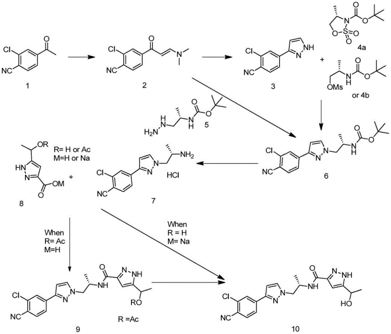 Overall synthetic route of Doramide showing the convergence of two key fragments via enamine chemistry