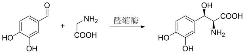 Previous enzymatic route using glycine showing poor stereoselectivity issues