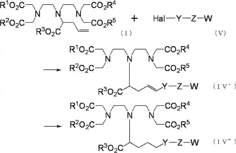 Synthesis pathway from DTPA derivative to Gadolinium complex precursor showing coupling reactions