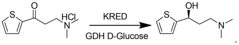 Biocatalytic asymmetric reduction of DMAK to DMAA using KRED and GDH with glucose