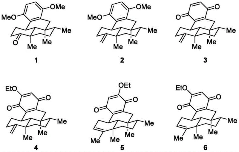 Complete synthetic route of Dysideanone B and analogues from Wieland-Miescher ketone derivative