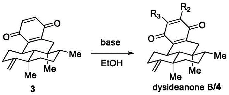 Mechanism of final oxidative substitution converting quinone 3 to Dysideanone B using ethanol and base