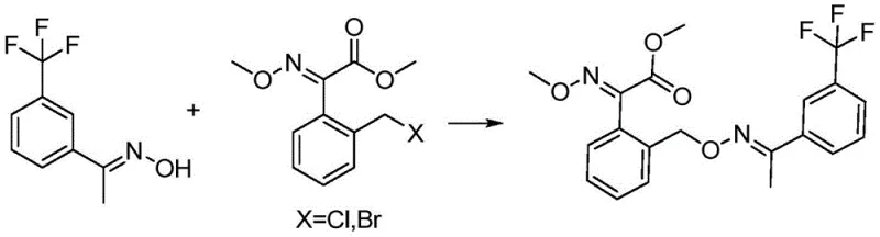 Reaction scheme showing the condensation of intermediates to form Trifloxystrobin