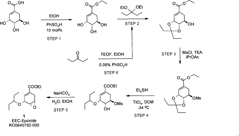 Complete five-step synthetic route from Shikimic Acid to EEC-Epoxide showing esterification ketalization mesylation reduction and epoxidation