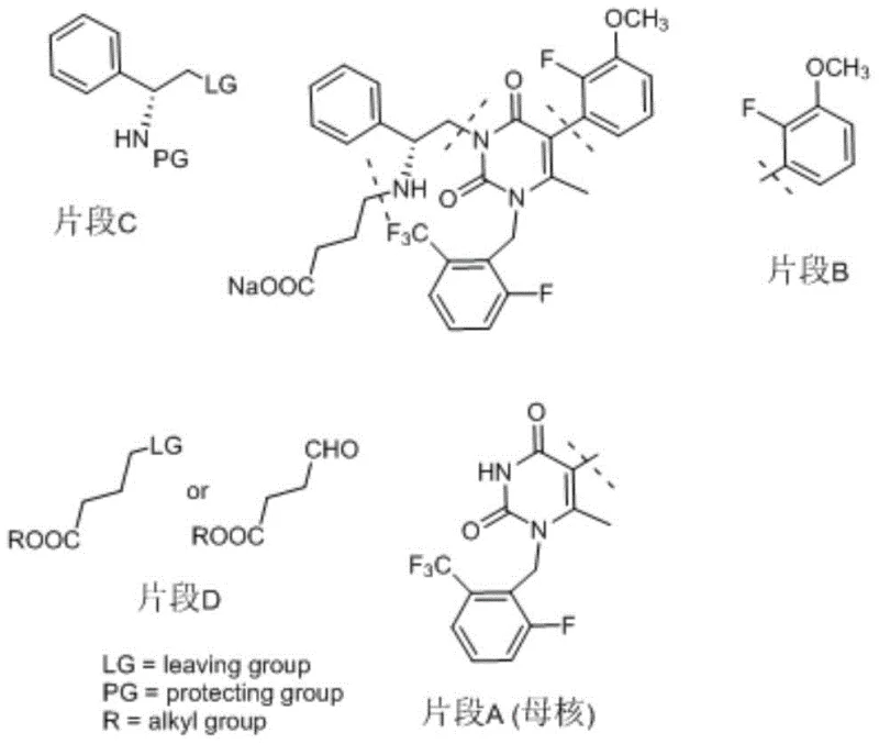 Structural breakdown of Elagolix Sodium into four key fragments: Parent nucleus, Fluoro-methoxyphenyl, Aminophenylethyl, and Ester-butyl