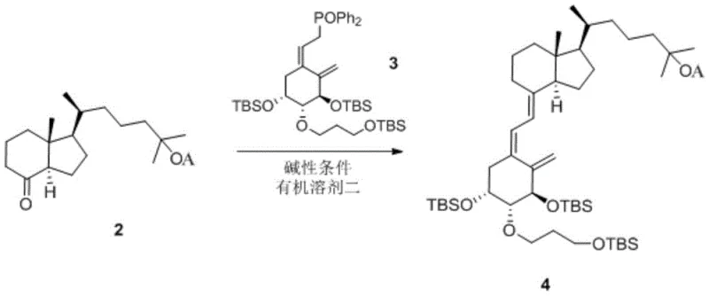 Coupling reaction mechanism between protected CD-ring and A-ring phosphine oxide