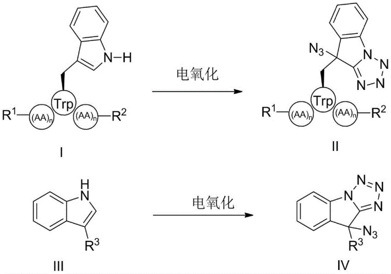 General reaction scheme for electro-oxidative modification of tryptophan and indole derivatives