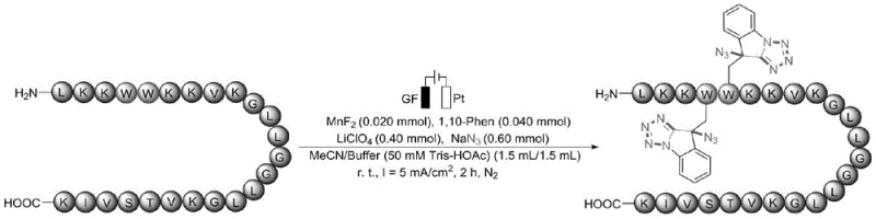 Specific example of electro-oxidative modification on a complex polypeptide chain
