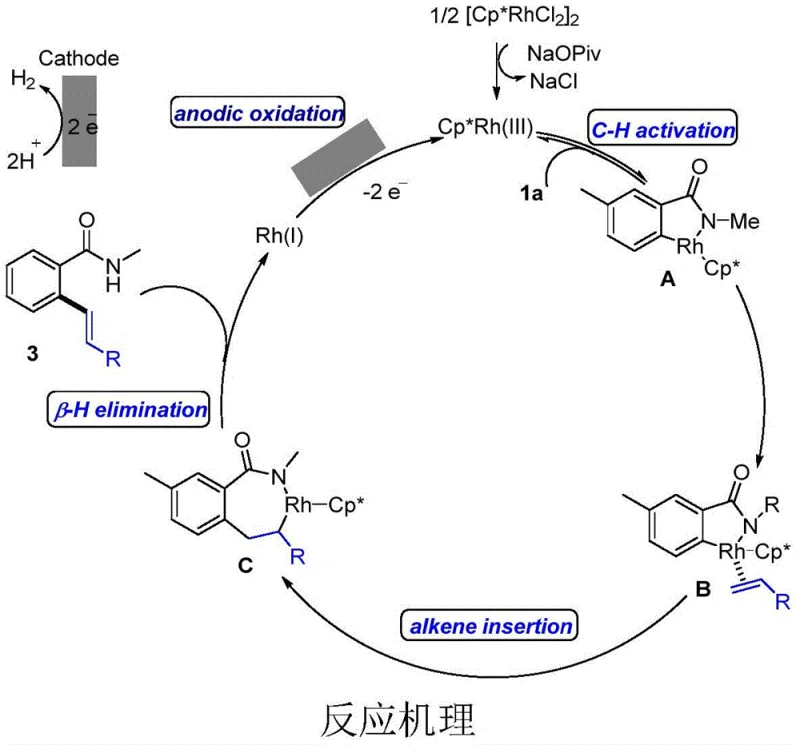 Catalytic cycle mechanism showing C-H activation, alkene insertion, beta-H elimination, and anodic oxidation of Rh(I) to Rh(III)