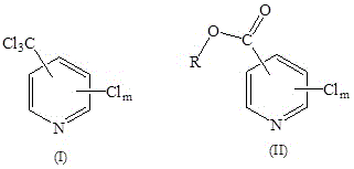 General reaction scheme showing electrochemical conversion of trichloromethylpyridine derivatives to carboxylates