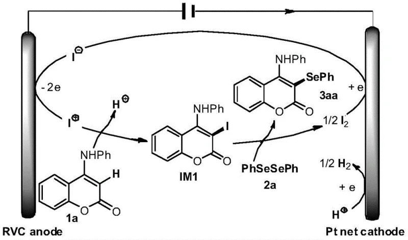 Proposed reaction mechanism showing anodic oxidation of iodide and cathodic regeneration