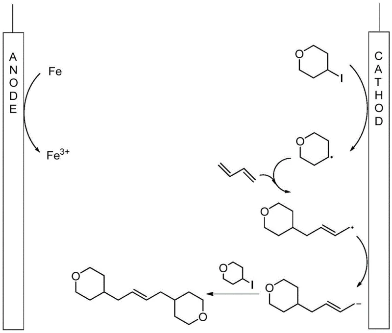 Electrochemical reaction mechanism showing anode oxidation and cathode reduction steps