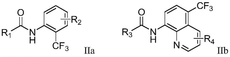General product structure showing ortho-trifluoromethylated aryl amide derivatives