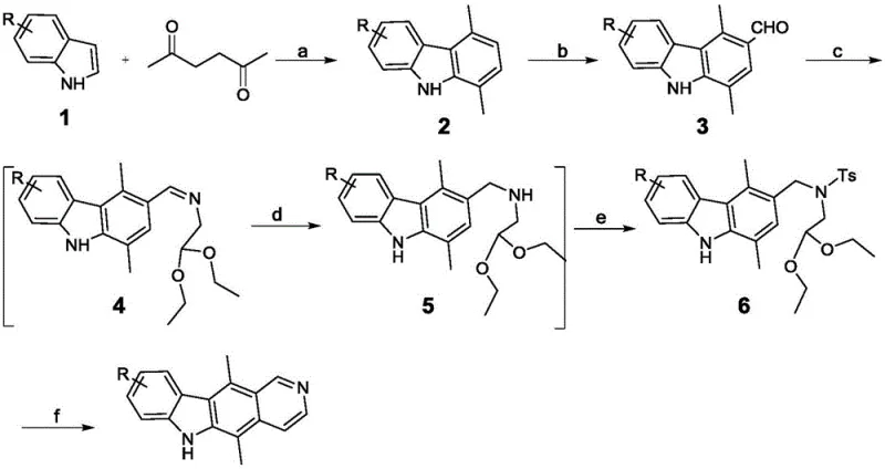 General reaction scheme showing substituent versatility for ellipticine derivatives