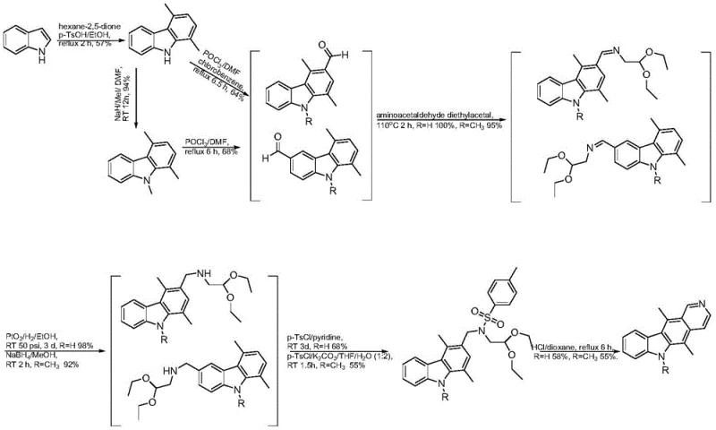 Literature synthesis route for ellipticine showing low yield and chromatography requirements