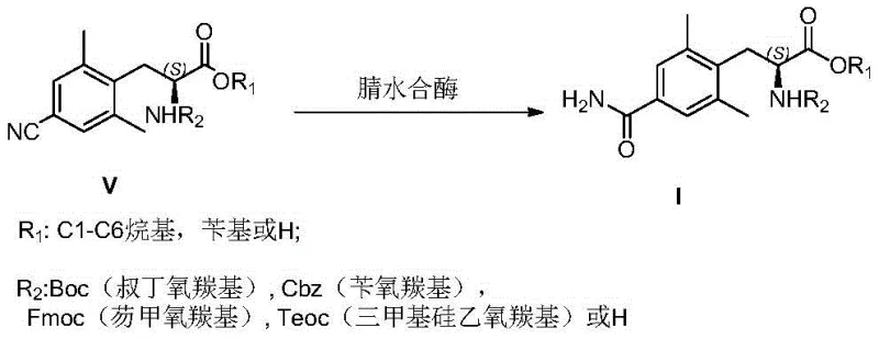 Enzymatic conversion of nitrile Compound V to amide Compound I using Nitrile Hydratase