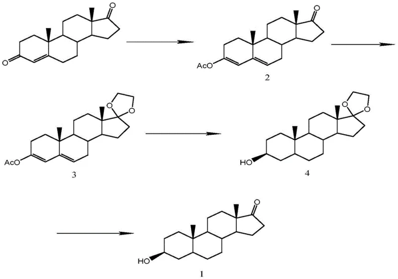 Complete four-step synthetic route from Androstenedione to Epiandrosterone showing intermediates 2, 3, and 4