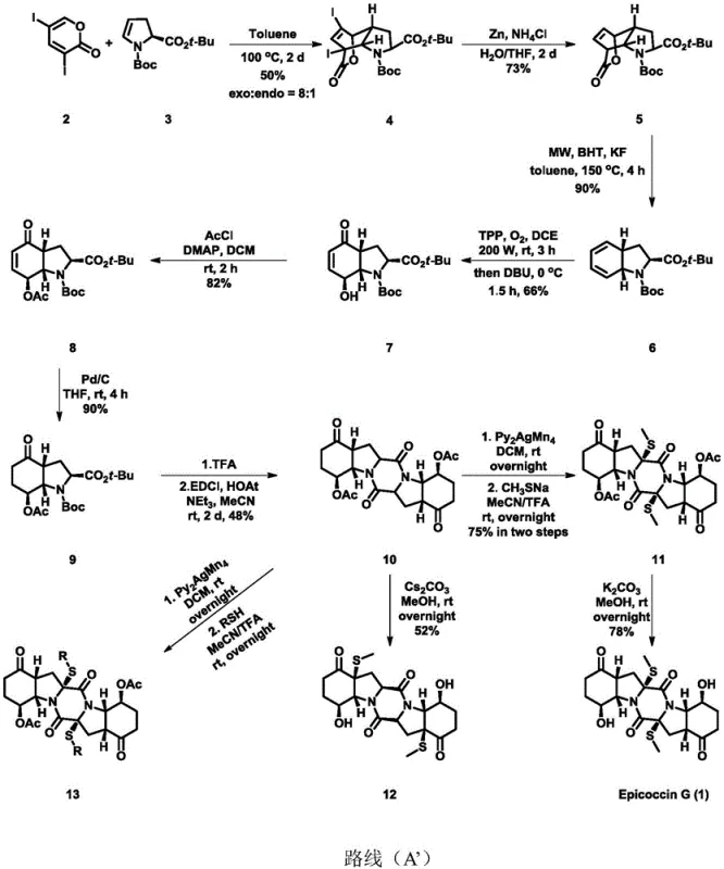 Detailed synthetic route A' for Epicoccin G showing reagents and conditions for each step