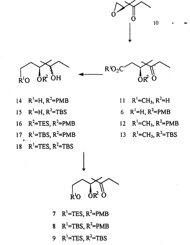 Synthetic reaction scheme showing the conversion of epoxide 10 to various protected C1-6 fragments via methanolylation and reduction