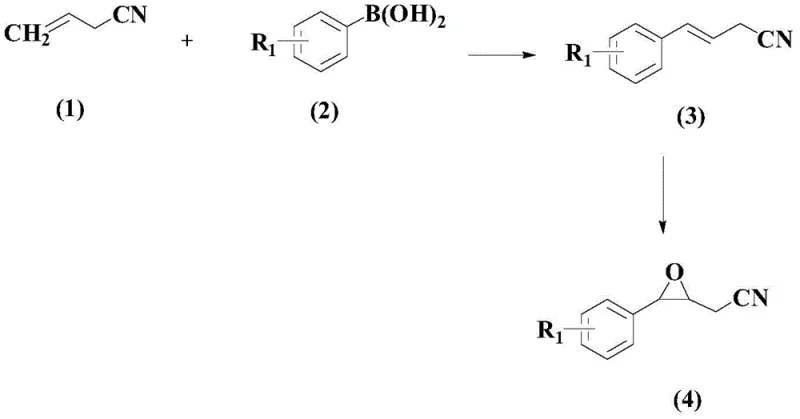 General synthesis route showing the two-step conversion of acrylonitrile and boronic acid to epoxy nitrile