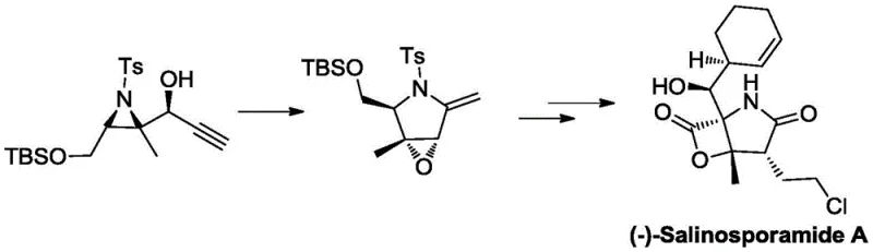 Previous synthesis route for Salinosporamide A showing complex Grignard steps