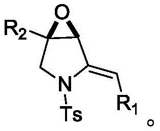 General reaction scheme for synthesizing epoxy-fused 2-methylene pyrrolidine compounds