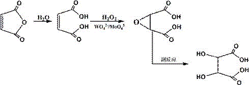 Traditional reaction mechanism of maleic anhydride epoxidation using tungsten/molybdenum catalysts