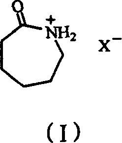 Chemical structure of N-protonated caprolactam Brönsted acidic ionic liquid catalyst Formula I