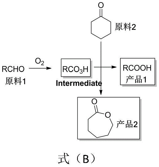 Mechanism pathway showing aldehyde oxidation to peroxy acid intermediate and subsequent Baeyer-Villiger oxidation of cyclohexanone