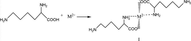 Formation of lysine-metal chelate intermediate protecting alpha-amino and carboxyl groups