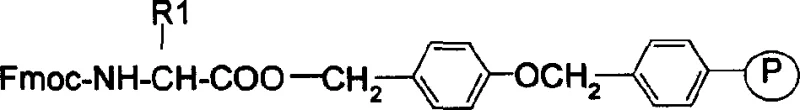 Chemical structure of Fmoc-protected amino acid attached to a polymeric support linker