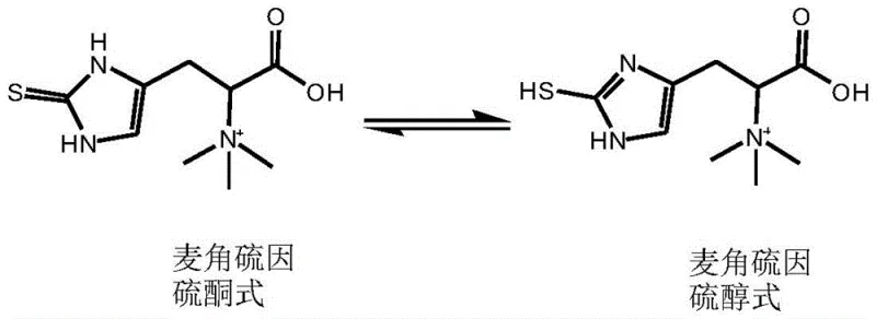 Chemical structure showing the thione-thiol tautomerism of ergothioneine
