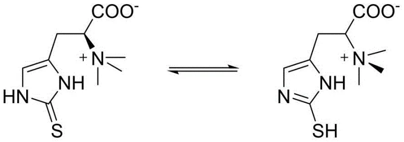Chemical structure of Ergothioneine showing thiol and thione tautomeric forms