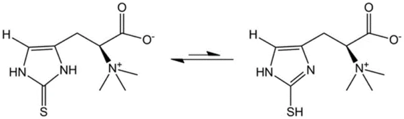 Thione-thiol tautomerism equilibrium of Ergothioneine