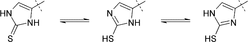 Tautomeric equilibrium of the 2-thiocarbamoyl imidazole ring showing thione and thiol forms