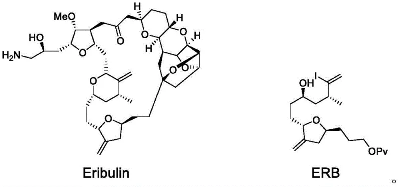 Chemical structure comparison of Eribulin and its key intermediate ERB
