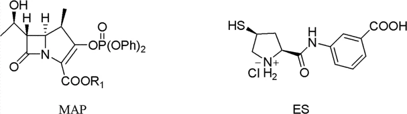 Condensation reaction mechanism between MAP and ES to form the protected intermediate PE