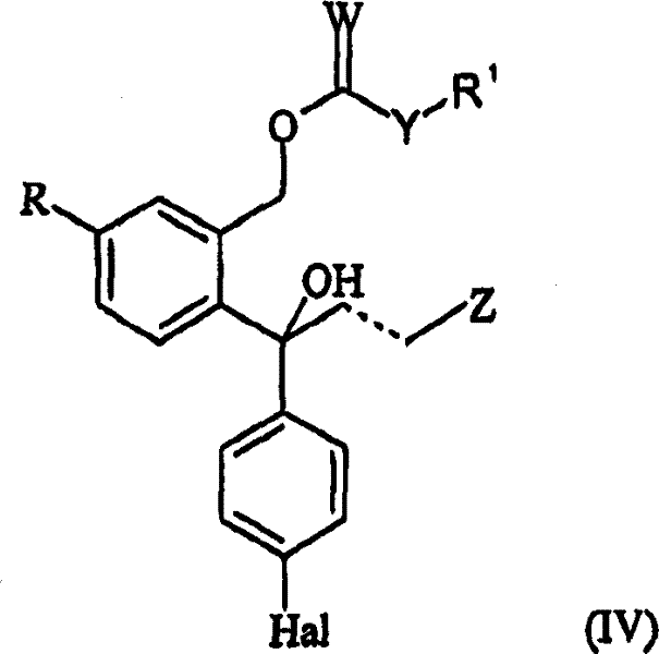 Chemical structure of Formula IV showing the acylated derivative intermediate used in the separation process
