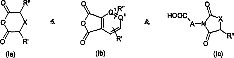 General formulas Ia, Ib, and Ic showing the cyclic anhydrides and imides used as separating agents