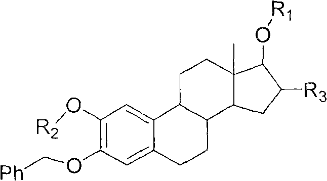 General molecular structure of the estrone amino acid ester intermediate showing the steroid core linked to N-Cbz protected amino acid residues